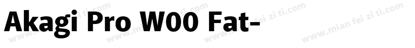 Akagi Pro W00 Fat字体转换